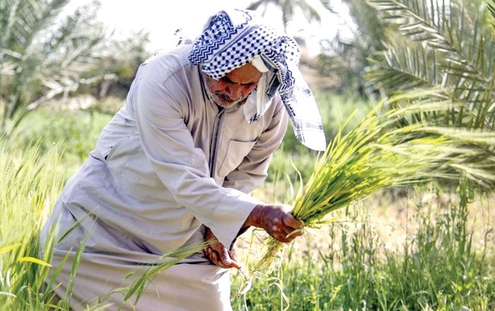 الوزراء الزراعيين لإيران والعراق